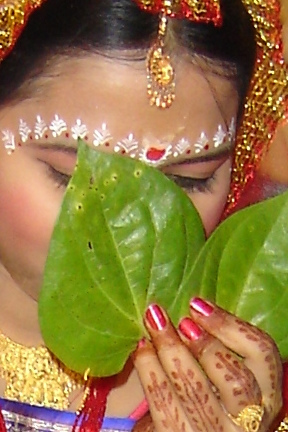Each Bengali wedding whether simple or lavish is made interesting by 